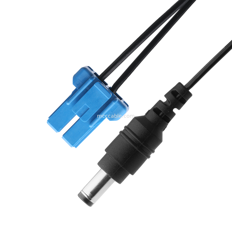DC Plug 2.1 * 5.5mm Load Type PVC Sự xuất hiện Molding To TE Blue Housing 2P Connector Cable nữ