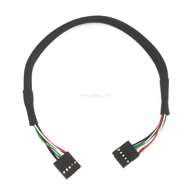 Dây Usb kép 2,54mm Khai thác dây cáp Bb đến Sbc 10 POS MOLEX 22552101