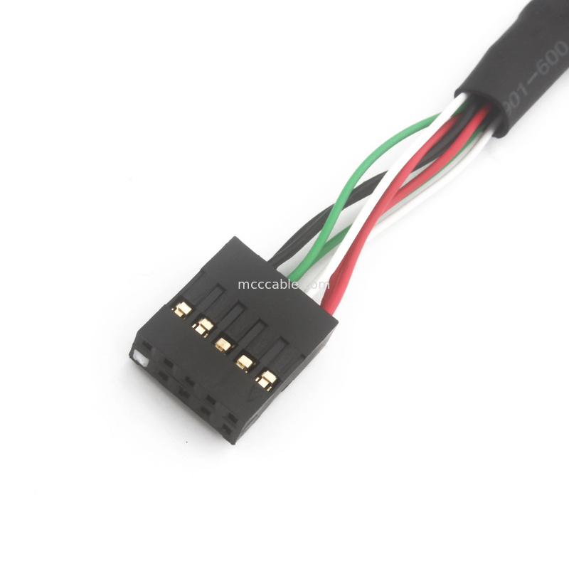 Dây Usb kép 2,54mm Khai thác dây cáp Bb đến Sbc 10 POS MOLEX 22552101