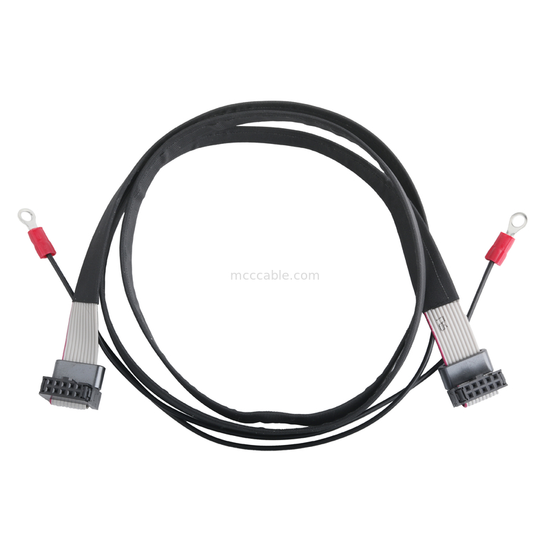 IDC FC-10P và TER M4 pitch 1.27mm Kết nối cáp đất với dây vòng UL2651 28AWG cáp OEM / ODM