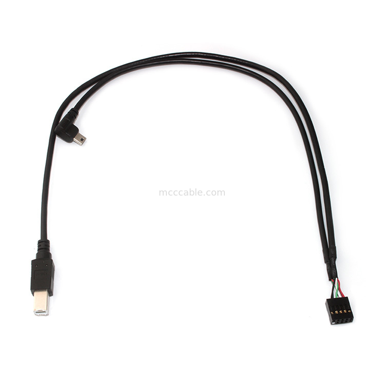 10 Pin 30AWG 2,54mm Pitch Molex Cáp lắp ráp Chiều dài 150mm Molex 22-55-2101